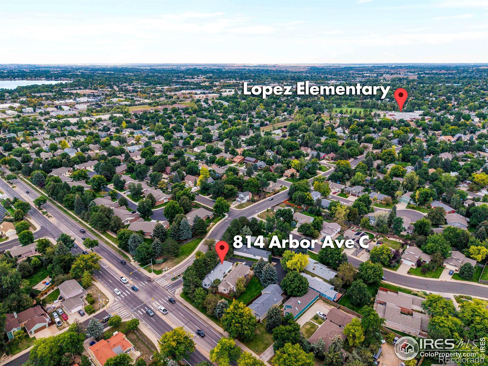 MLS Image #29 for 814  arbor avenue,fort collins, Colorado