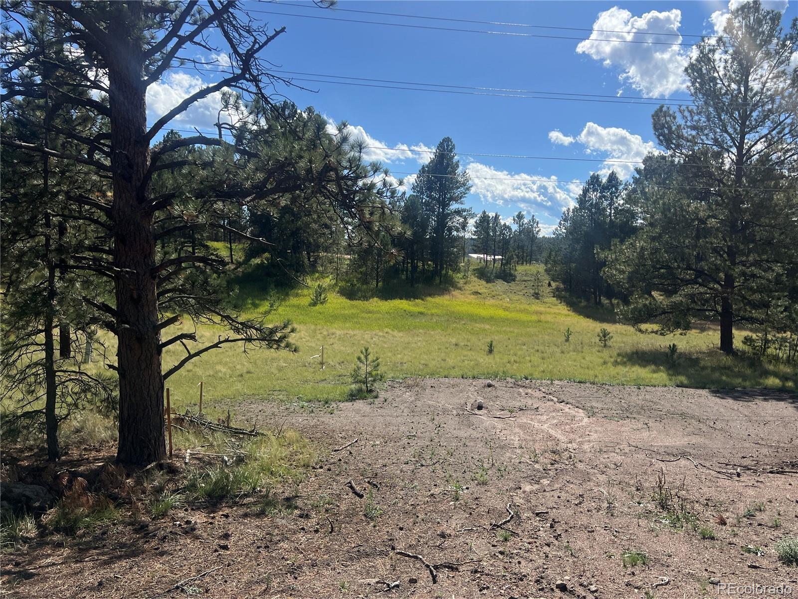 MLS Image #45 for 240 n mountain estates road,florissant, Colorado