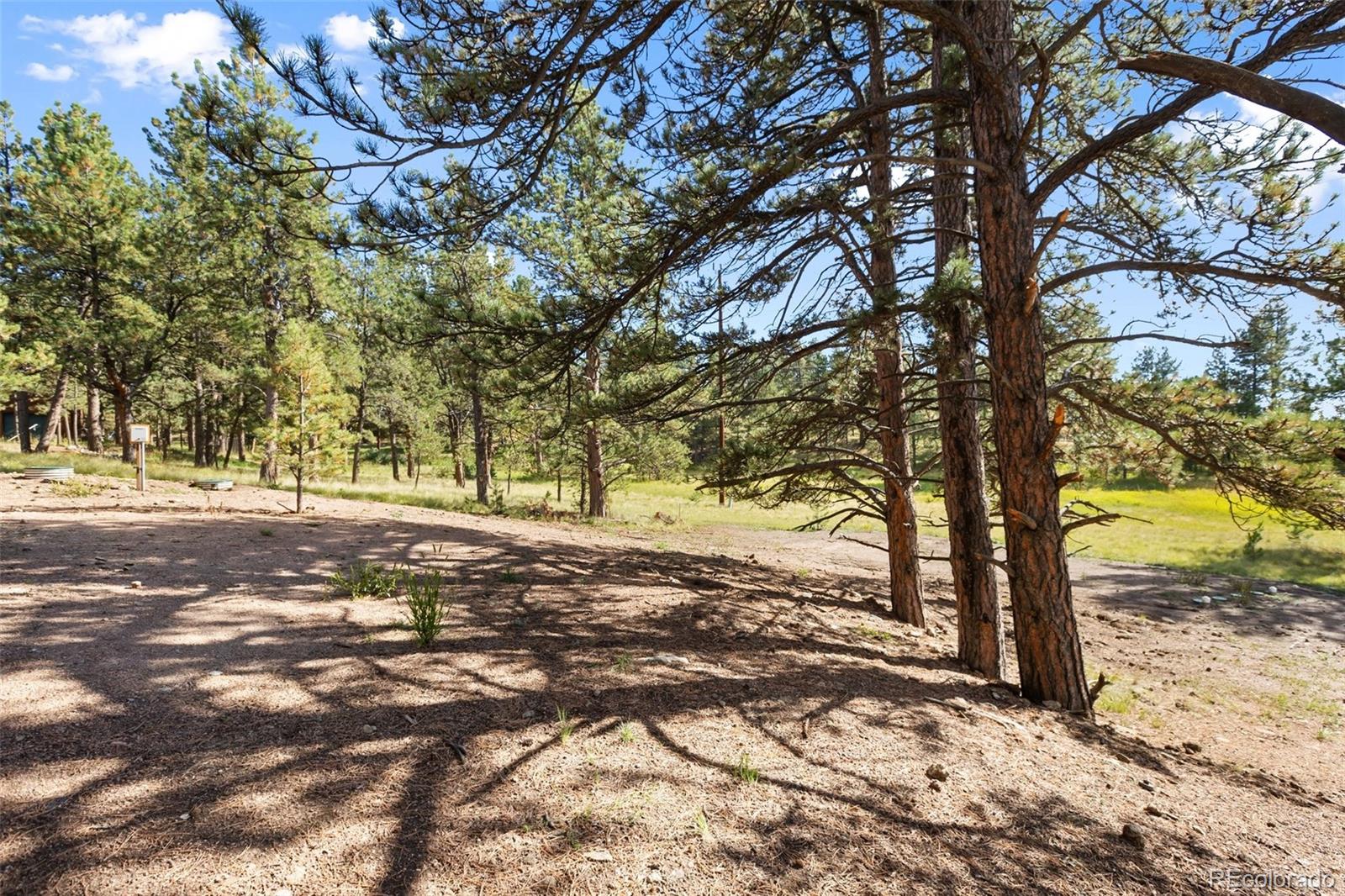MLS Image #46 for 240 n mountain estates road,florissant, Colorado