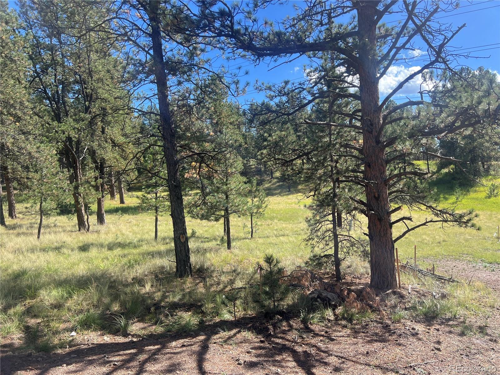 MLS Image #47 for 240 n mountain estates road,florissant, Colorado