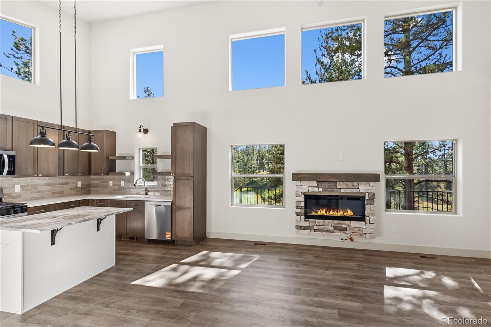 MLS Image #6 for 240 n mountain estates road,florissant, Colorado