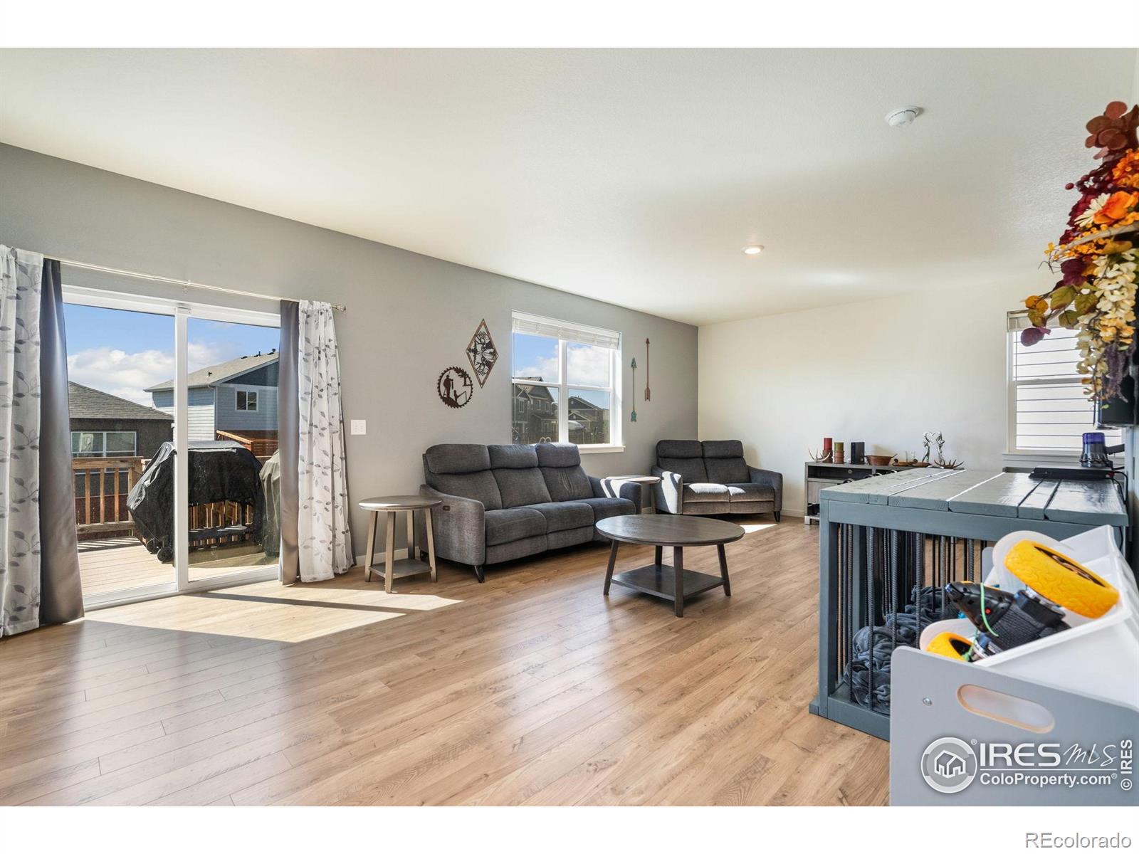 MLS Image #14 for 1233  lily mountain road,severance, Colorado