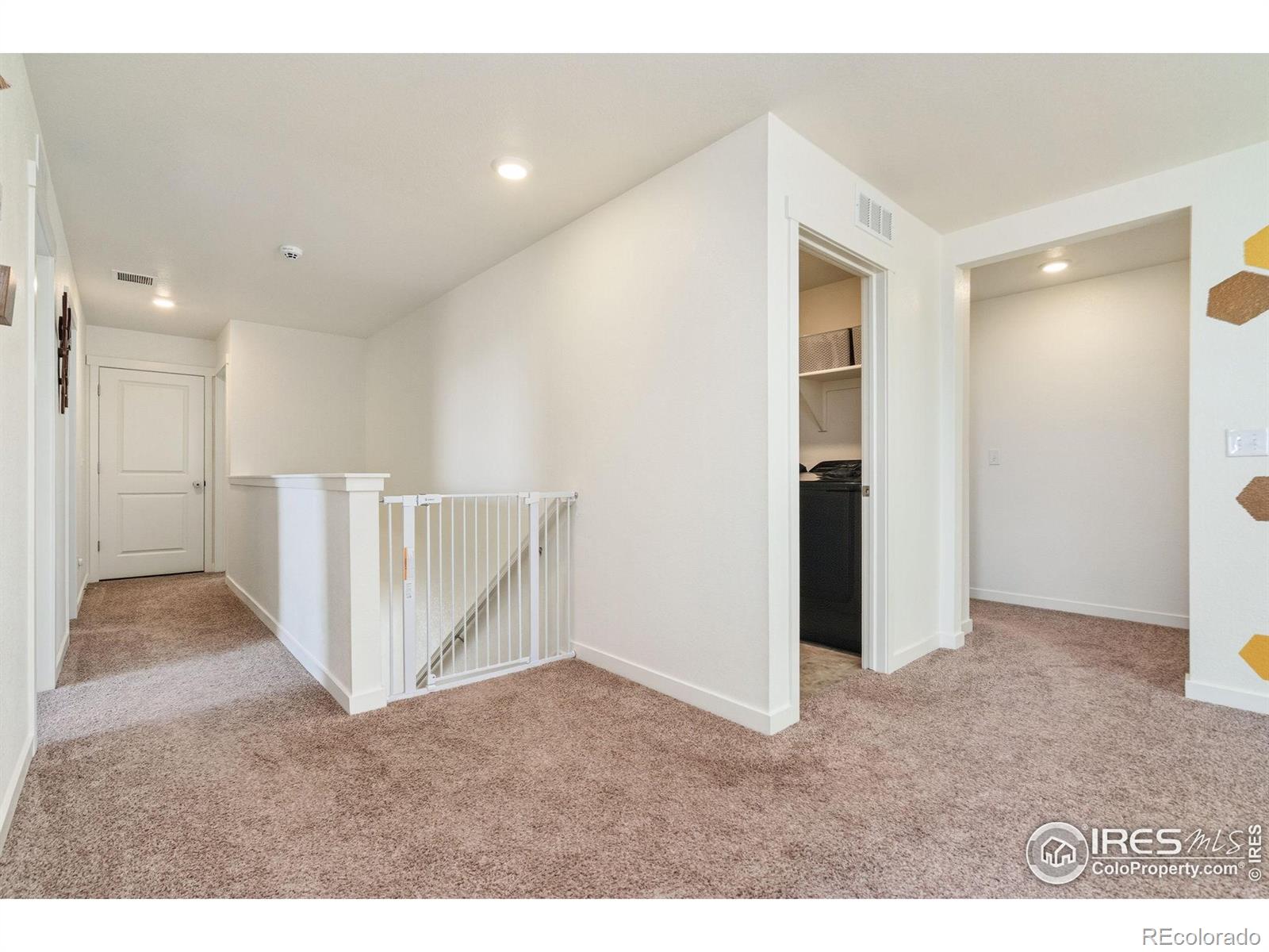 MLS Image #16 for 1233  lily mountain road,severance, Colorado
