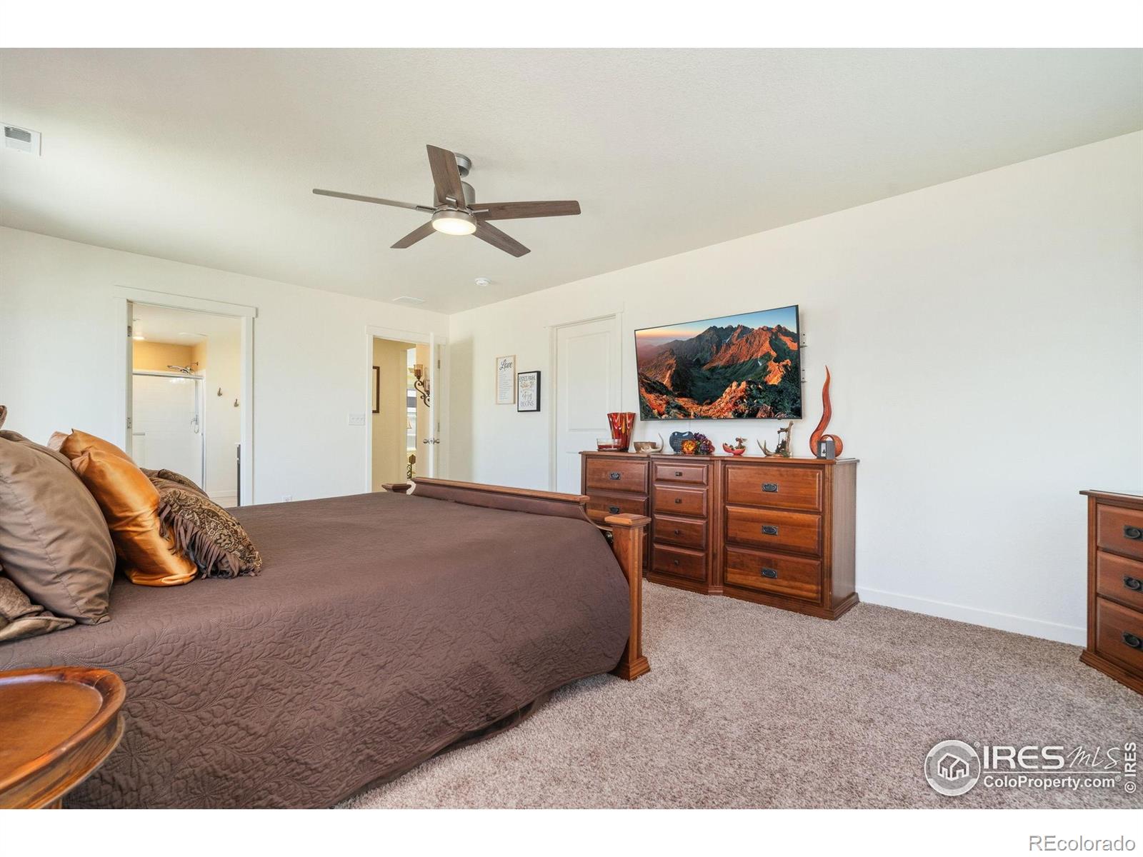 MLS Image #21 for 1233  lily mountain road,severance, Colorado
