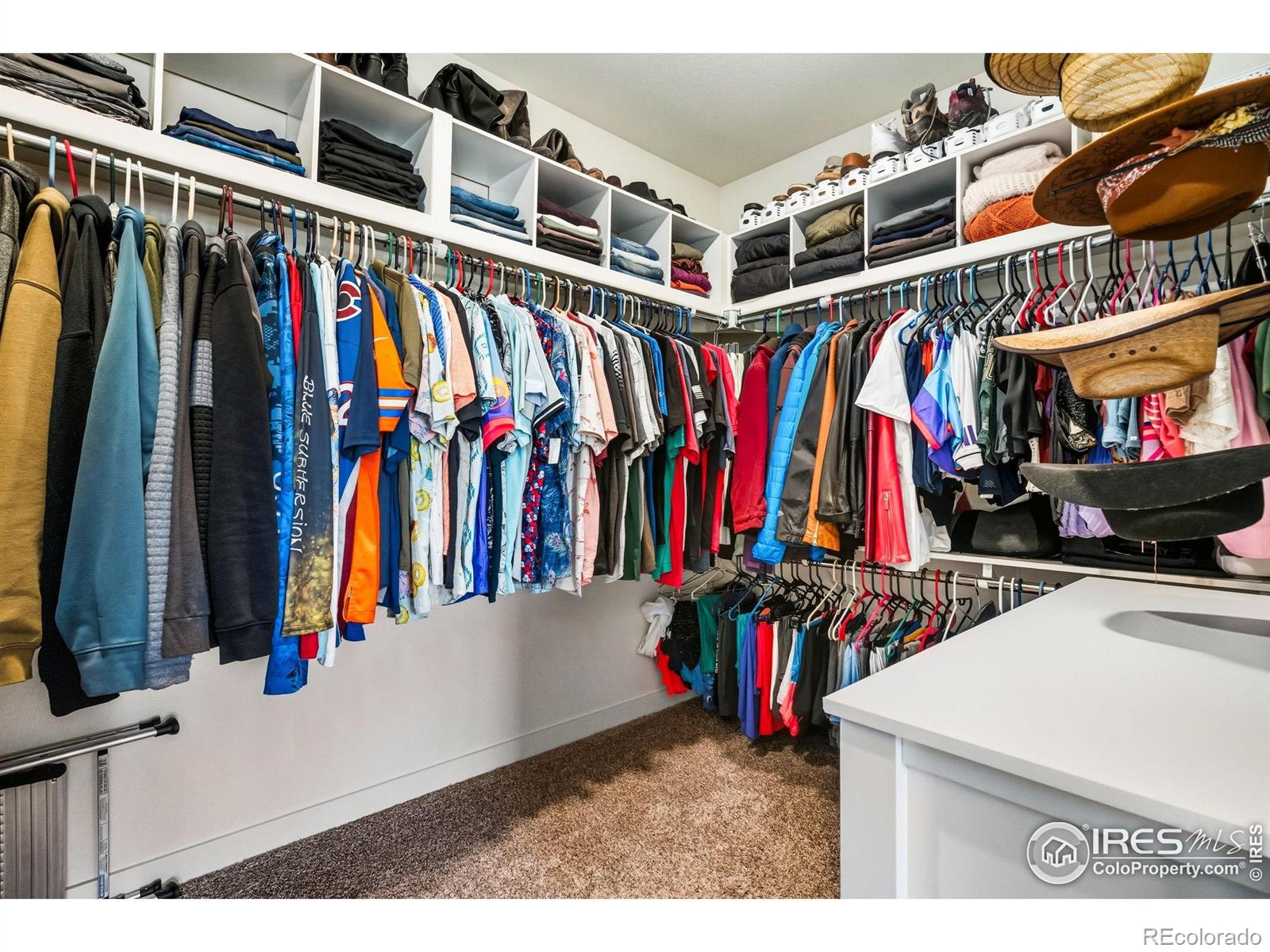 MLS Image #24 for 1233  lily mountain road,severance, Colorado