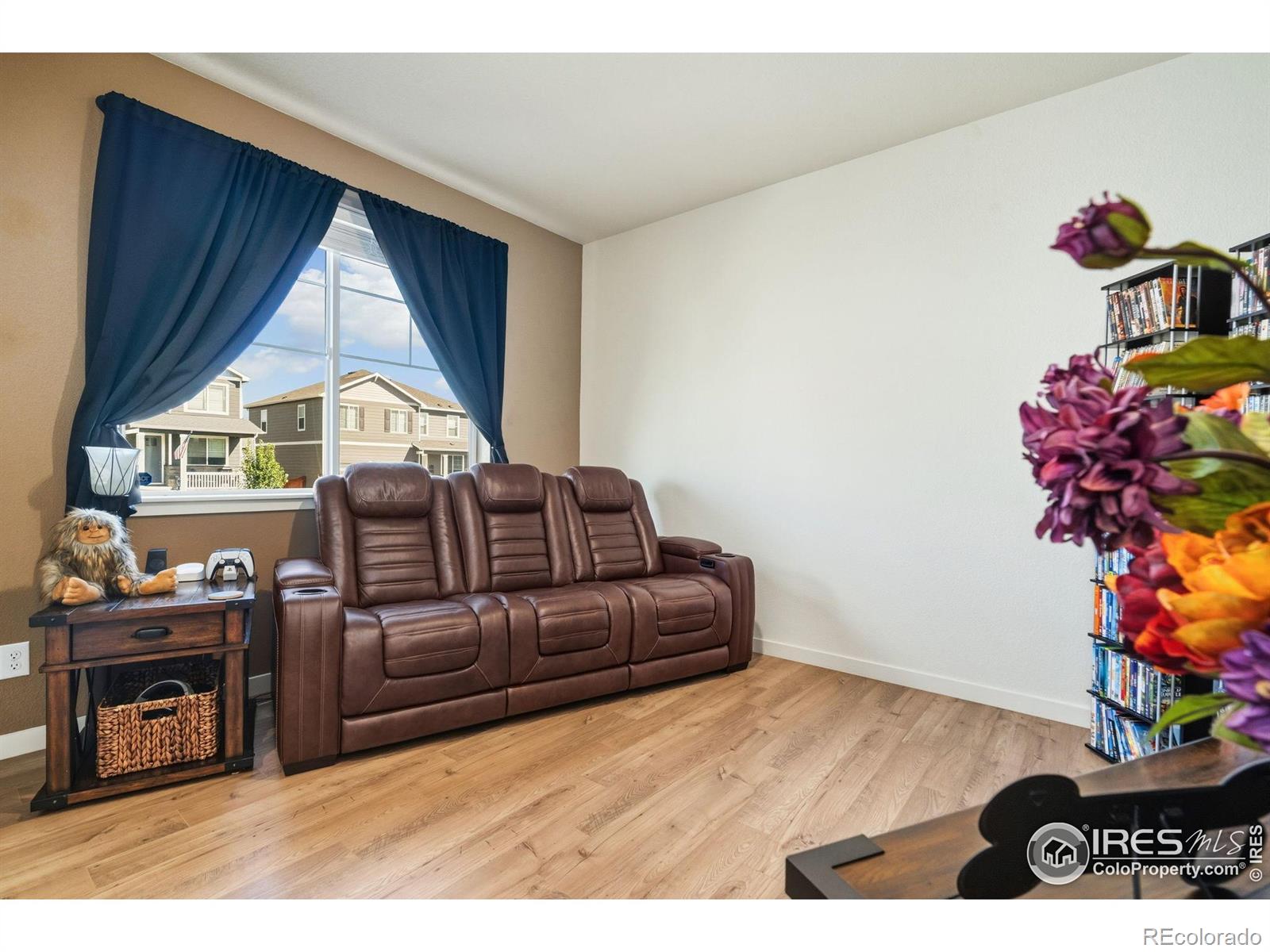 MLS Image #5 for 1233  lily mountain road,severance, Colorado