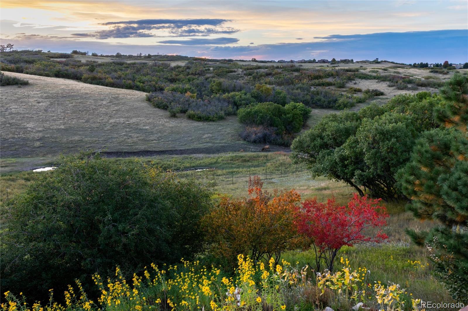 MLS Image #45 for 13079  whisper canyon road,castle pines, Colorado