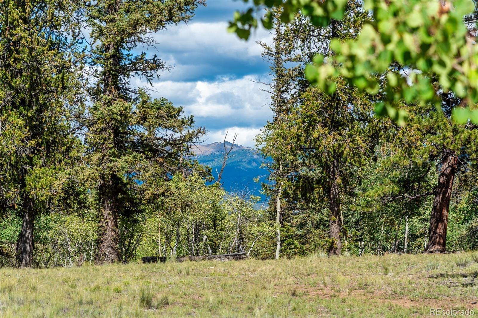 MLS Image #12 for 207  overland circle,jefferson, Colorado