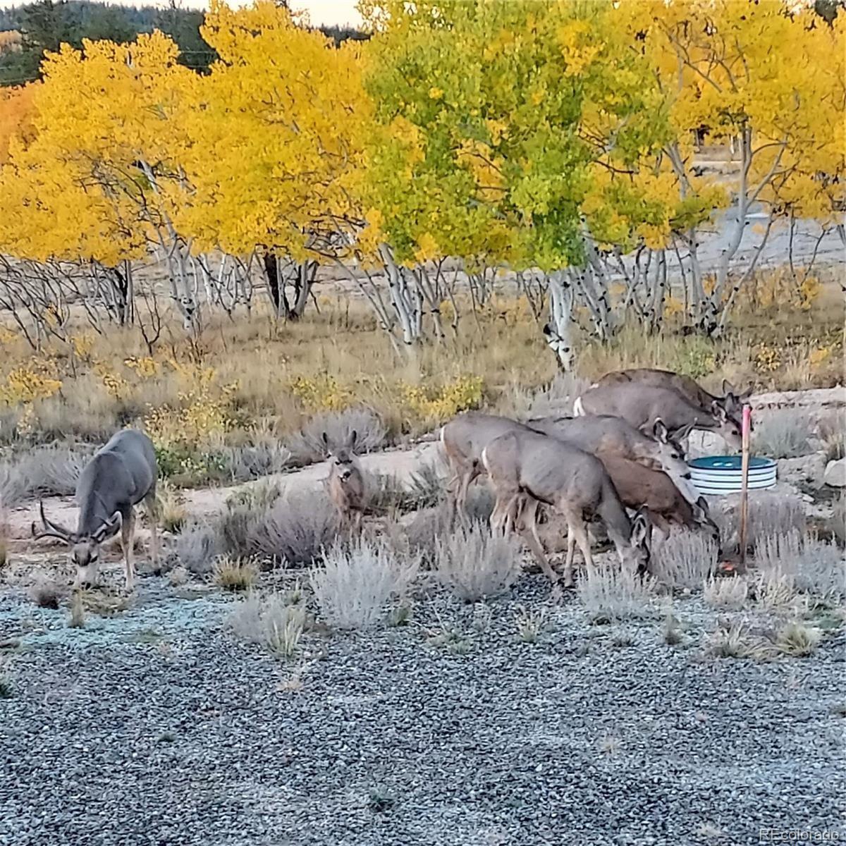 MLS Image #30 for 207  overland circle,jefferson, Colorado