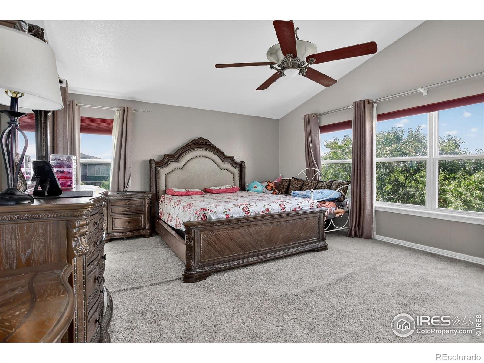 MLS Image #24 for 10609  ouray court,commerce city, Colorado