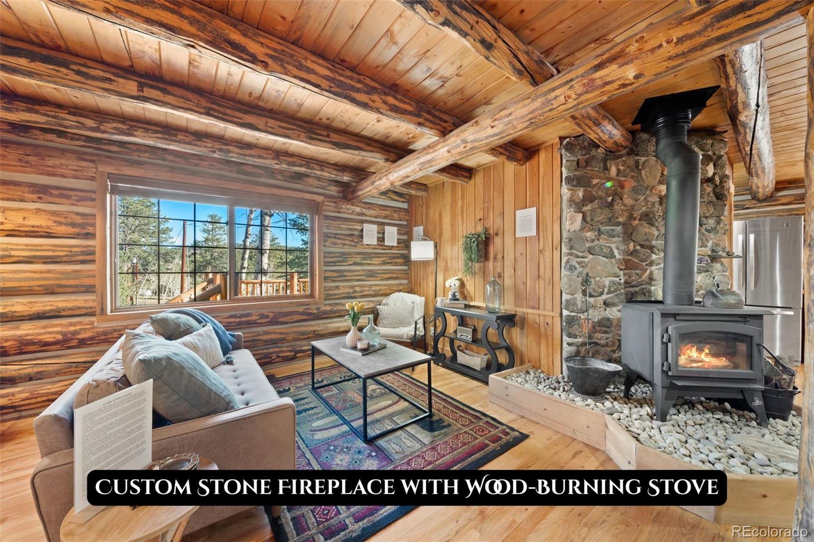 MLS Image #10 for 1889  burland drive,bailey, Colorado