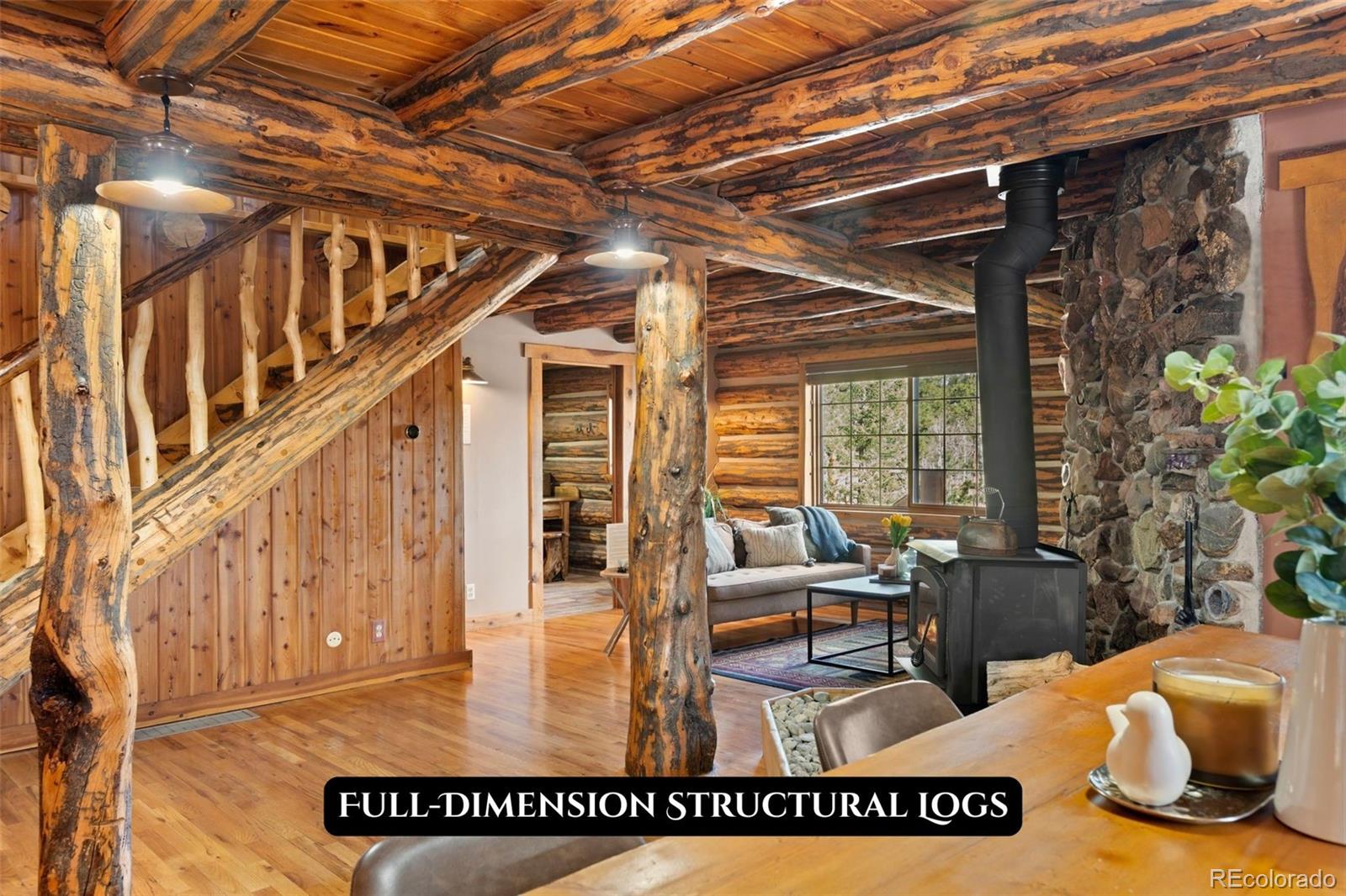 MLS Image #19 for 1889  burland drive,bailey, Colorado