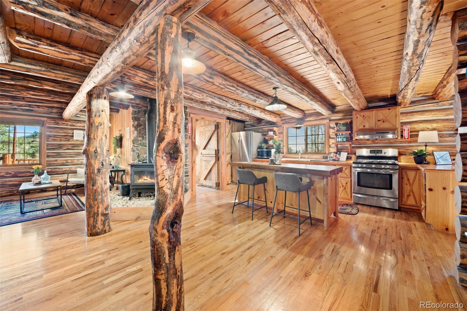 MLS Image #20 for 1889  burland drive,bailey, Colorado