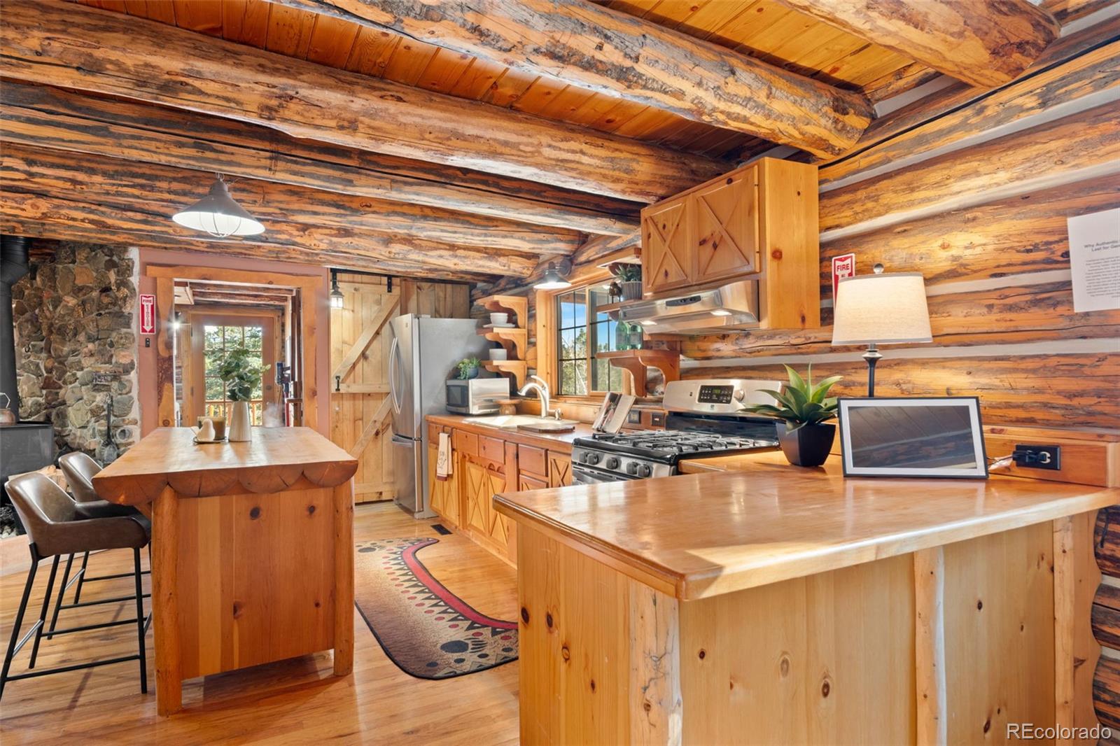 MLS Image #21 for 1889  burland drive,bailey, Colorado