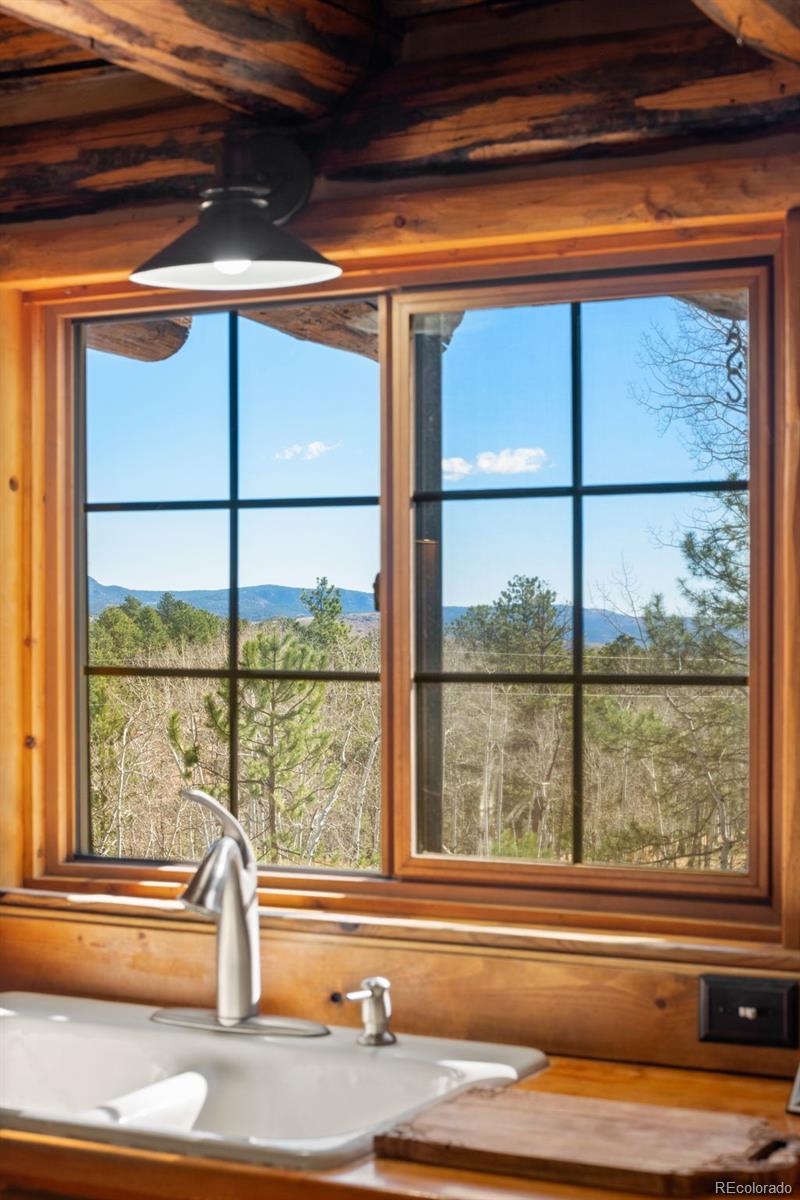 MLS Image #22 for 1889  burland drive,bailey, Colorado