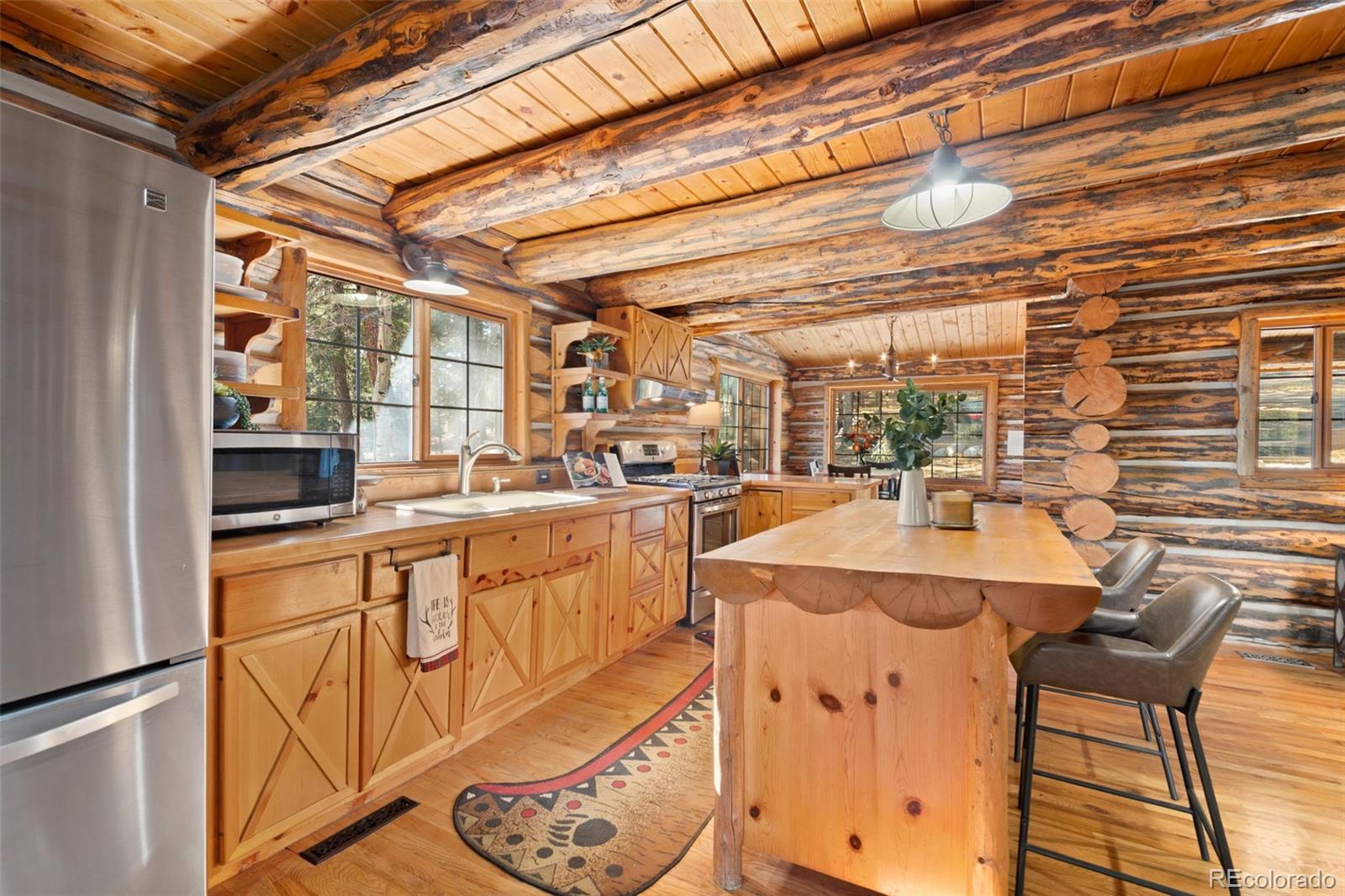 MLS Image #23 for 1889  burland drive,bailey, Colorado