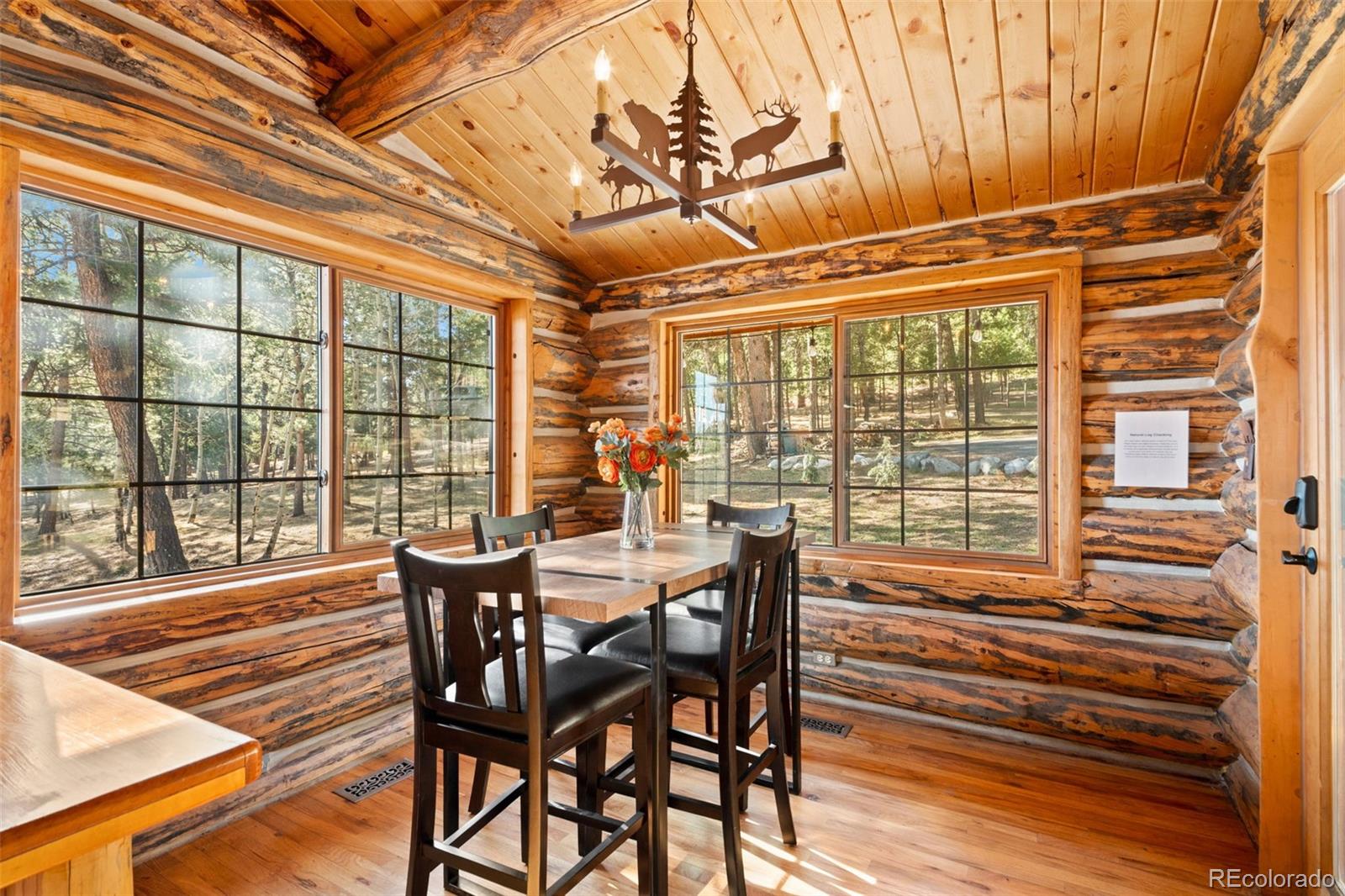 MLS Image #24 for 1889  burland drive,bailey, Colorado