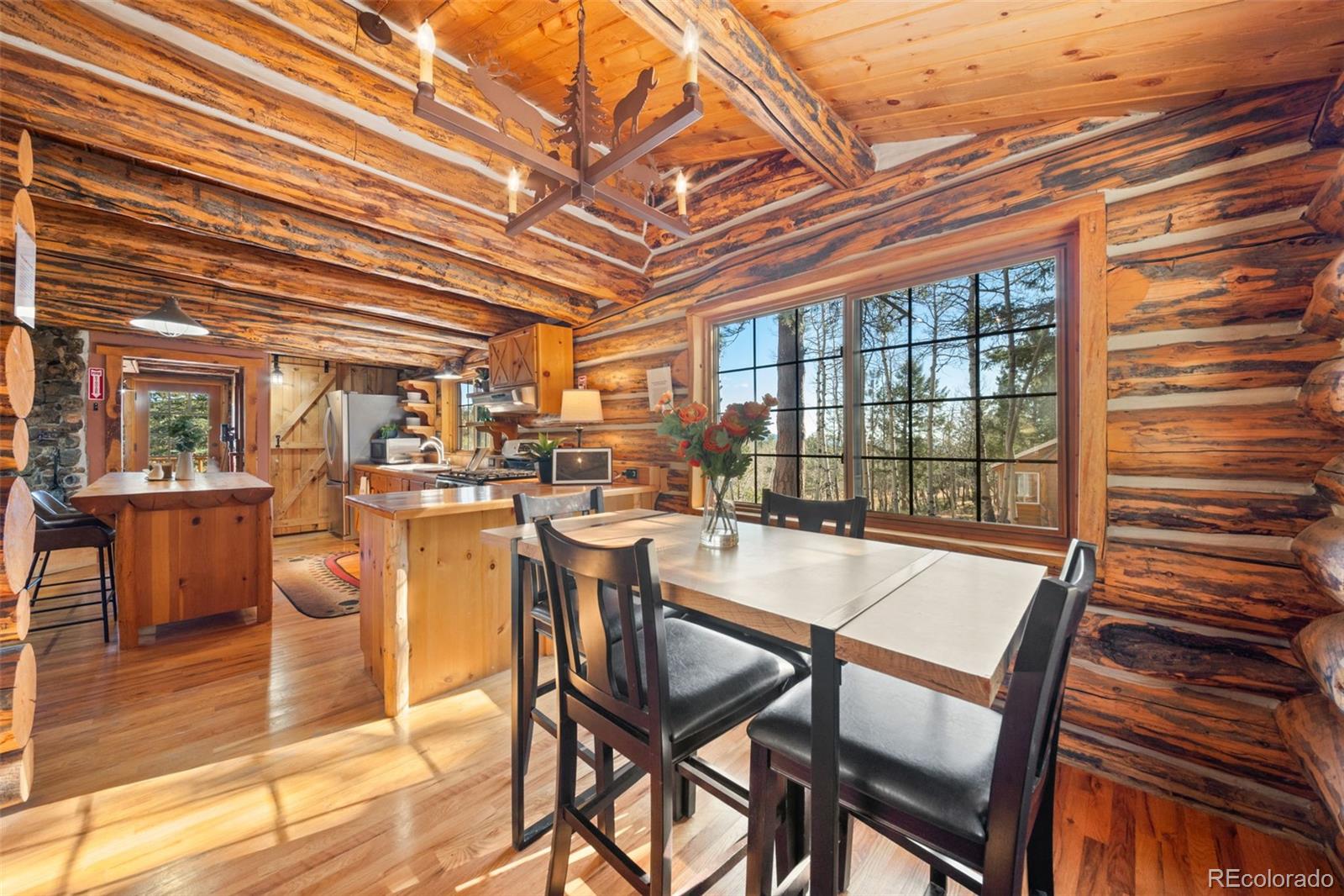 MLS Image #25 for 1889  burland drive,bailey, Colorado