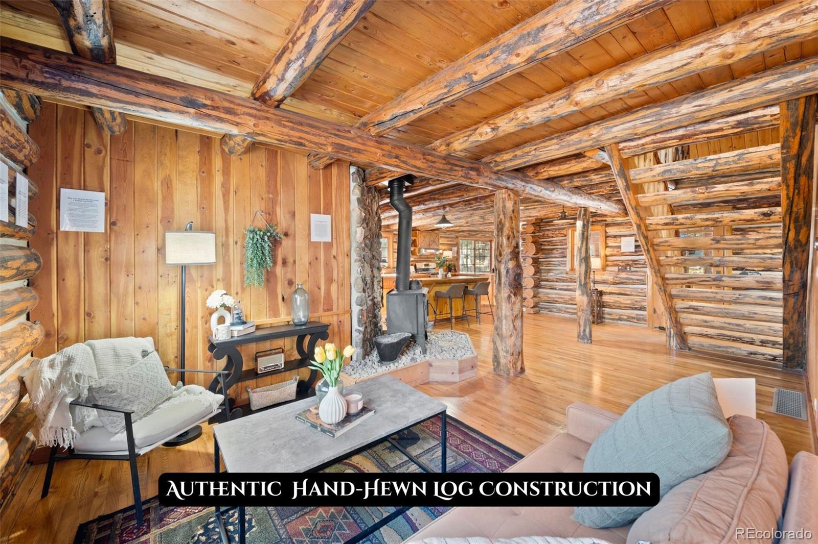 MLS Image #28 for 1889  burland drive,bailey, Colorado
