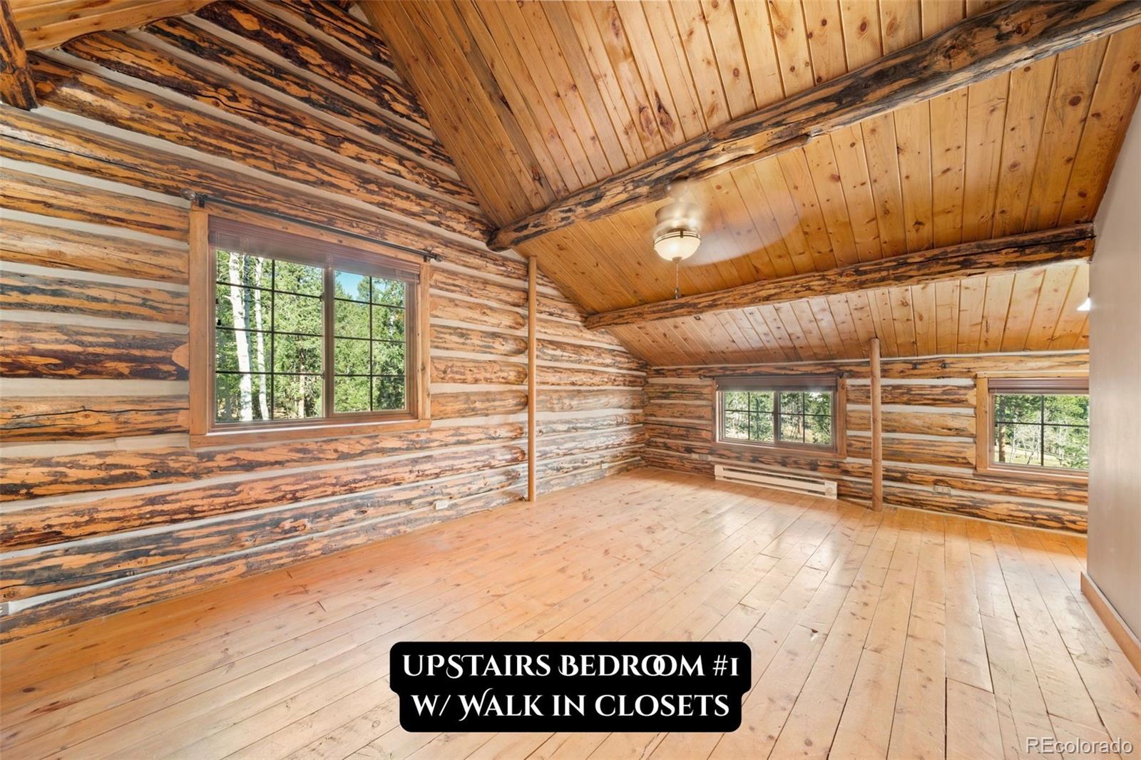 MLS Image #31 for 1889  burland drive,bailey, Colorado