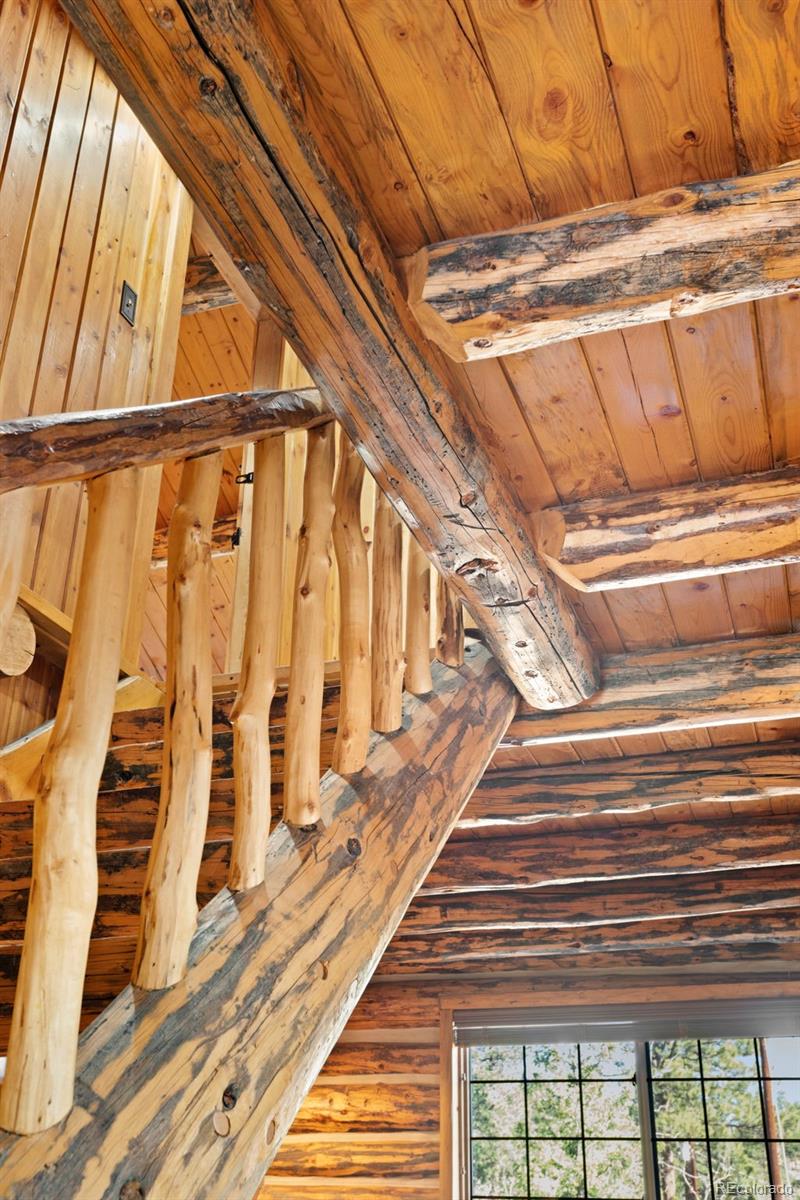MLS Image #32 for 1889  burland drive,bailey, Colorado