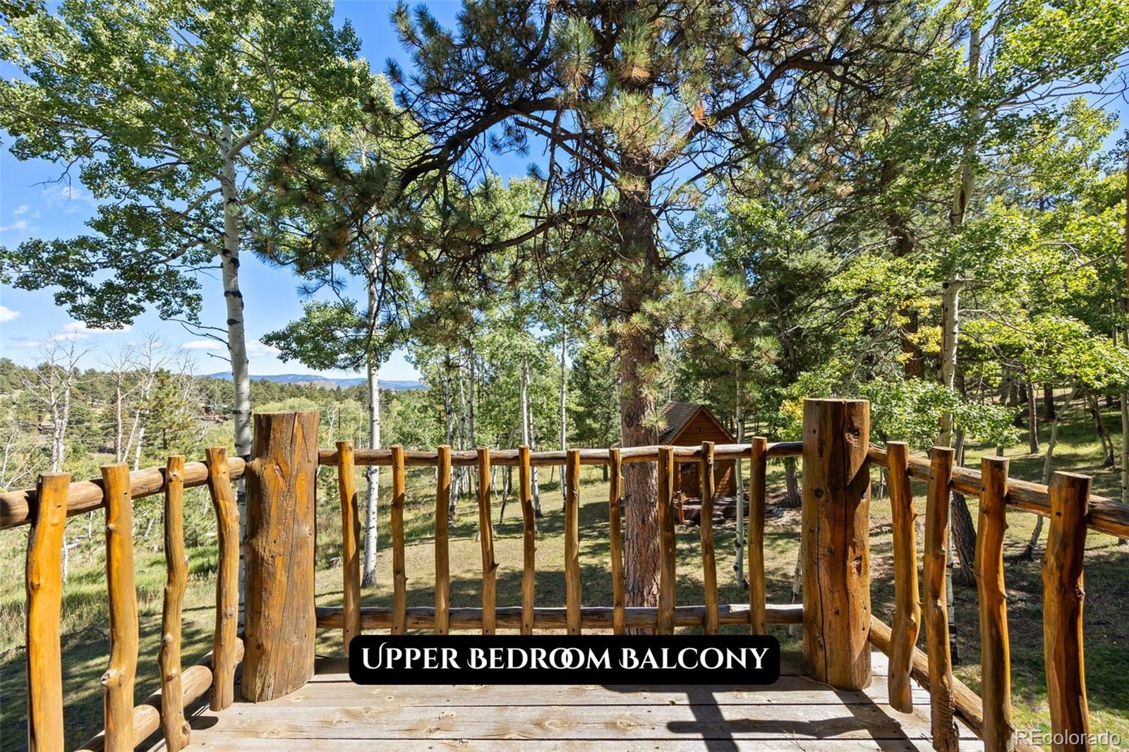 MLS Image #34 for 1889  burland drive,bailey, Colorado