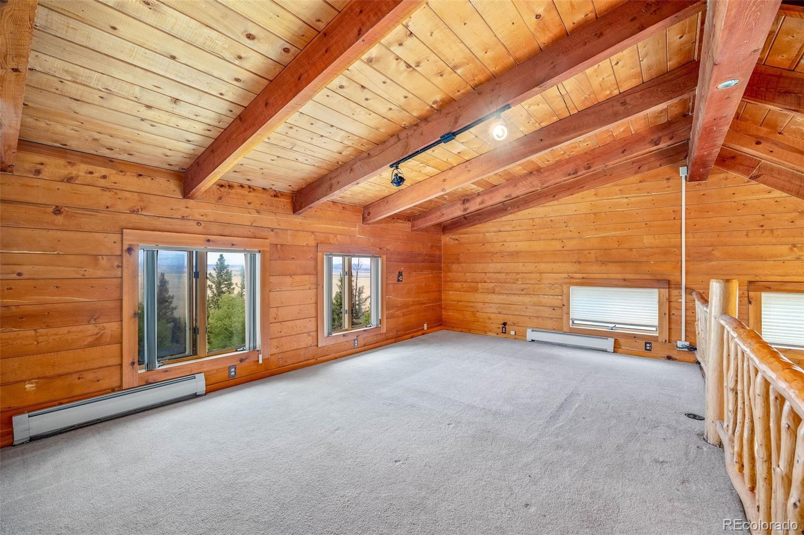 MLS Image #17 for 597  sheep ridge road,fairplay, Colorado