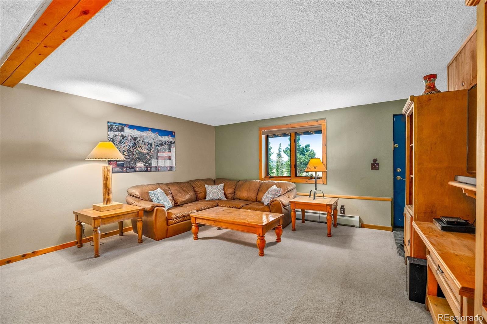 MLS Image #25 for 597  sheep ridge road,fairplay, Colorado