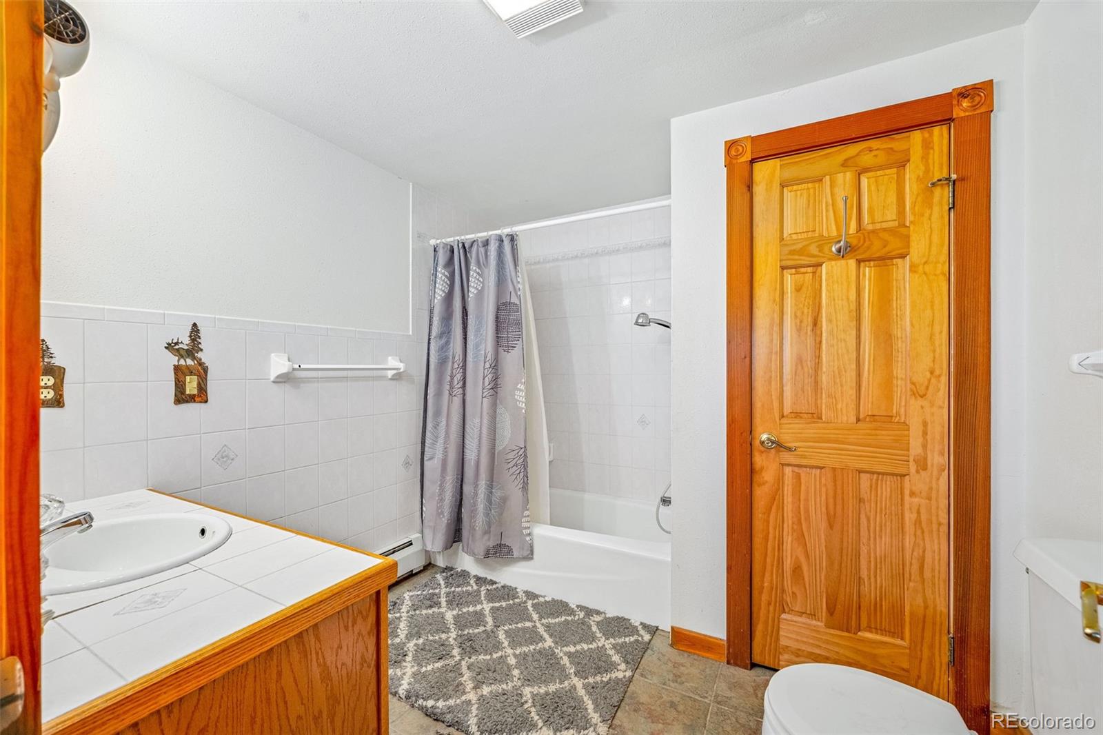 MLS Image #27 for 597  sheep ridge road,fairplay, Colorado