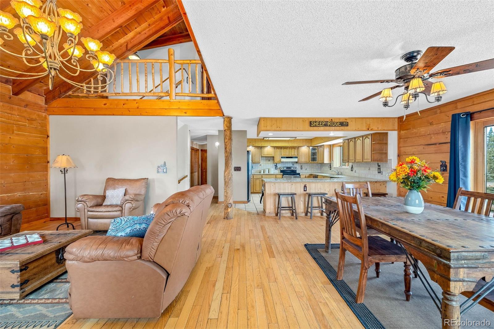 MLS Image #6 for 597  sheep ridge road,fairplay, Colorado