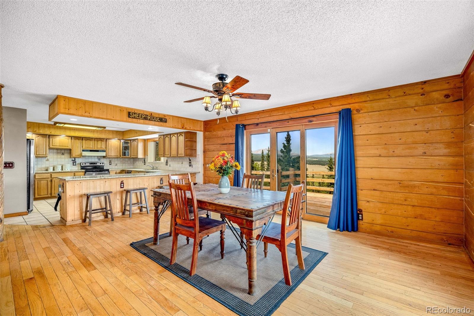 MLS Image #7 for 597  sheep ridge road,fairplay, Colorado