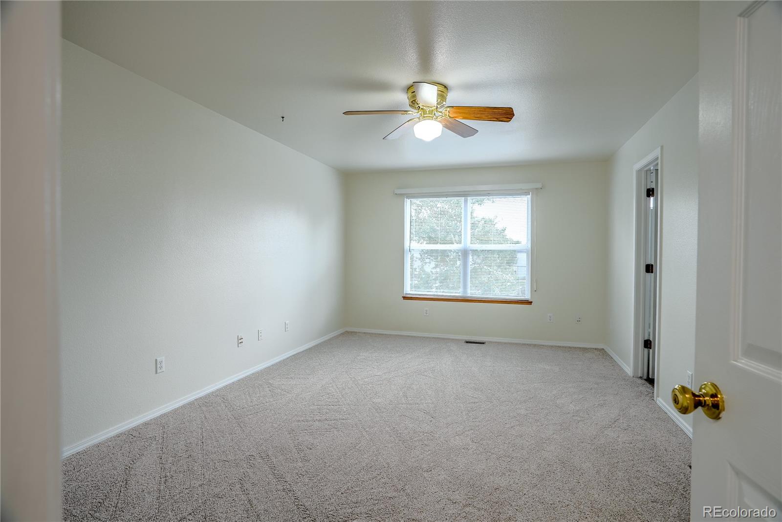 MLS Image #12 for 3165  frazier lane,colorado springs, Colorado