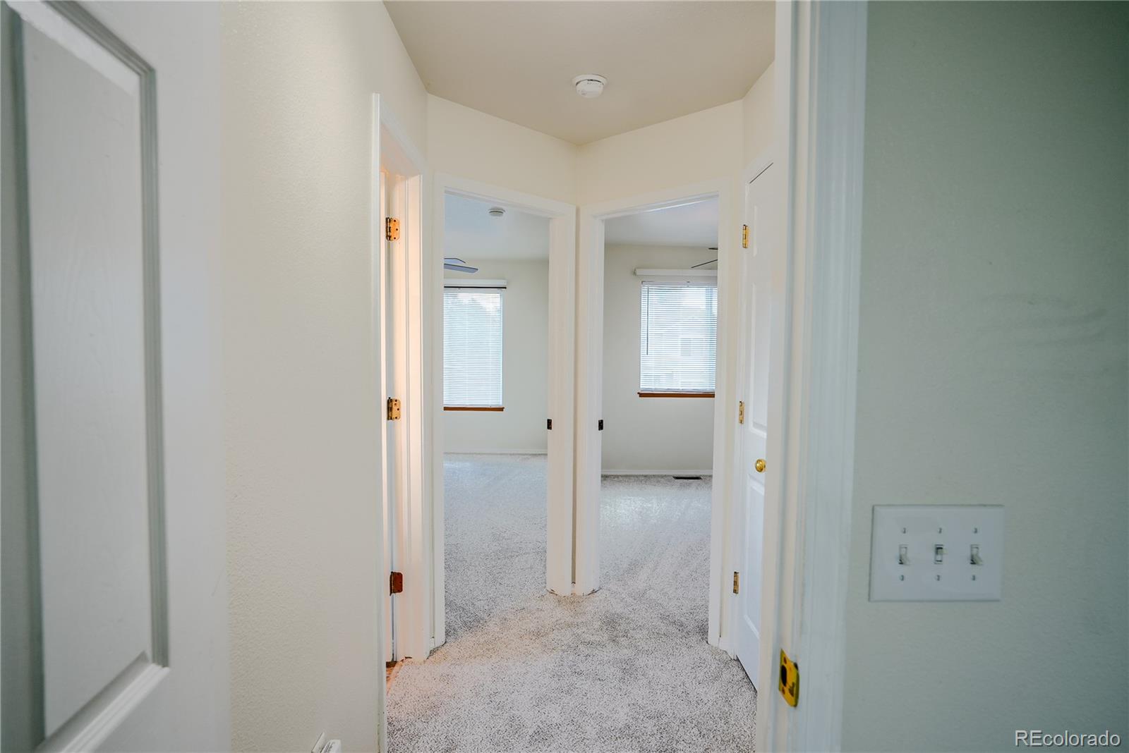 MLS Image #6 for 3165  frazier lane,colorado springs, Colorado