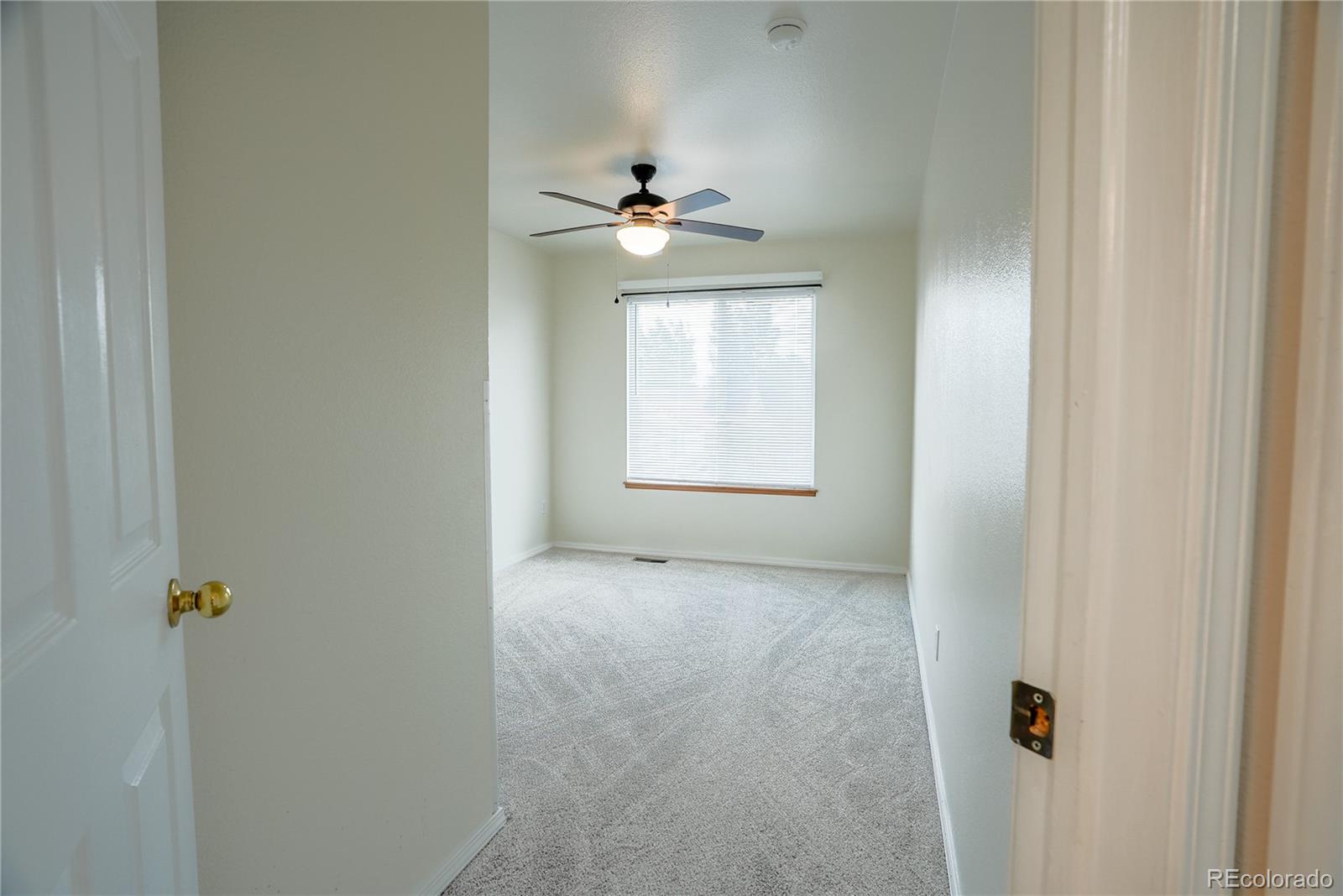 MLS Image #7 for 3165  frazier lane,colorado springs, Colorado