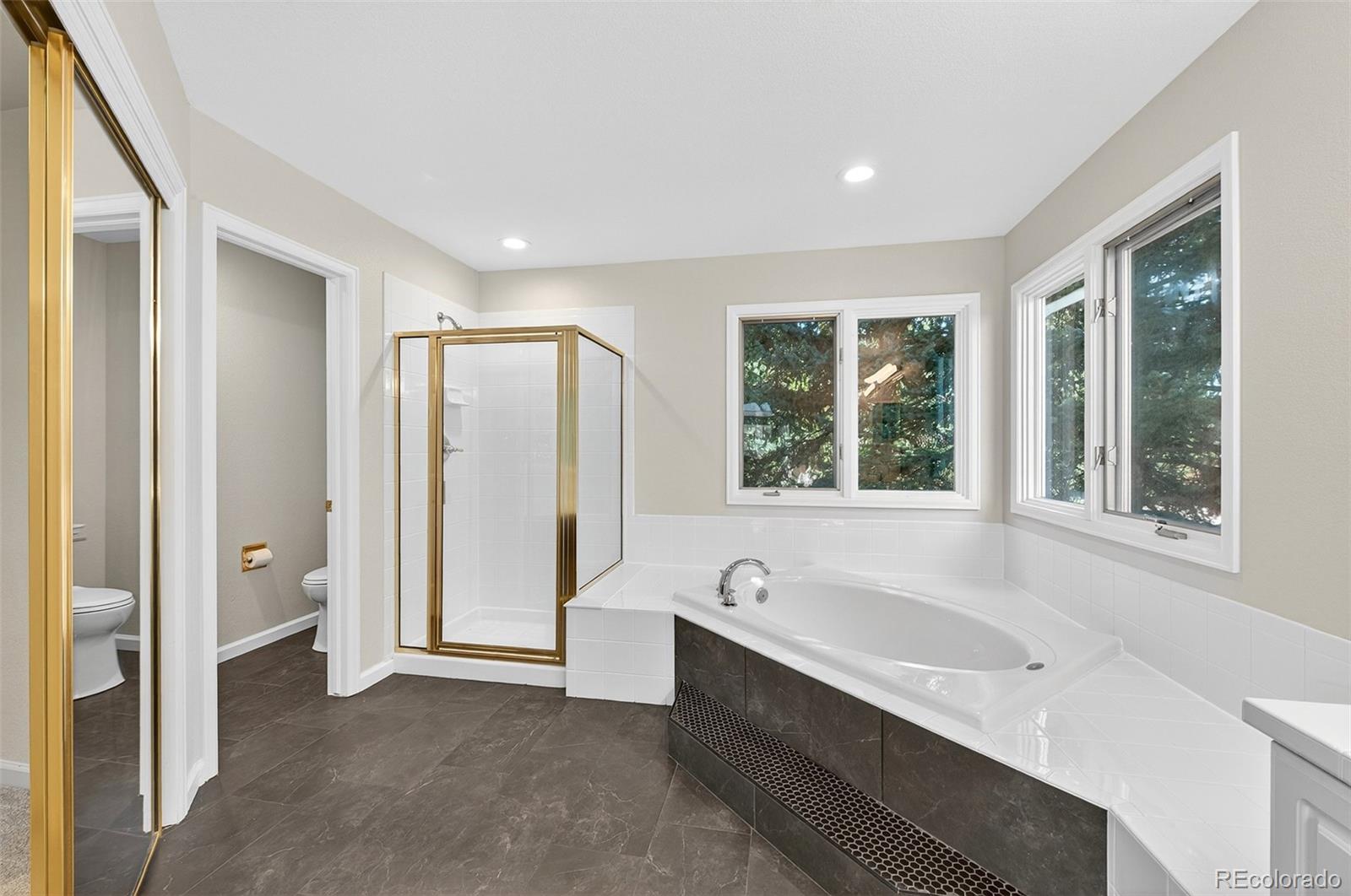 MLS Image #26 for 16395 e crestline place,centennial, Colorado