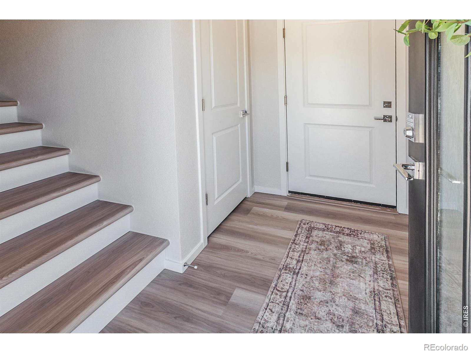 MLS Image #2 for 1825  bounty drive,windsor, Colorado