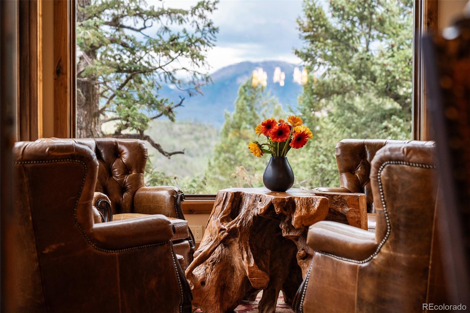 MLS Image #2 for 31  pinnacle lane,dillon, Colorado