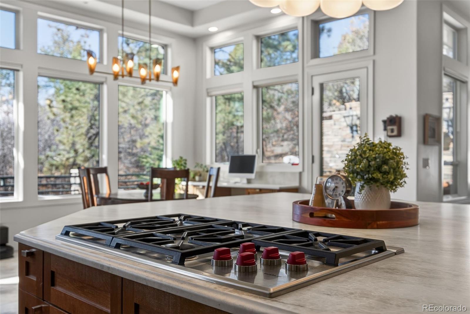 MLS Image #8 for 218  hidden valley lane,castle rock, Colorado