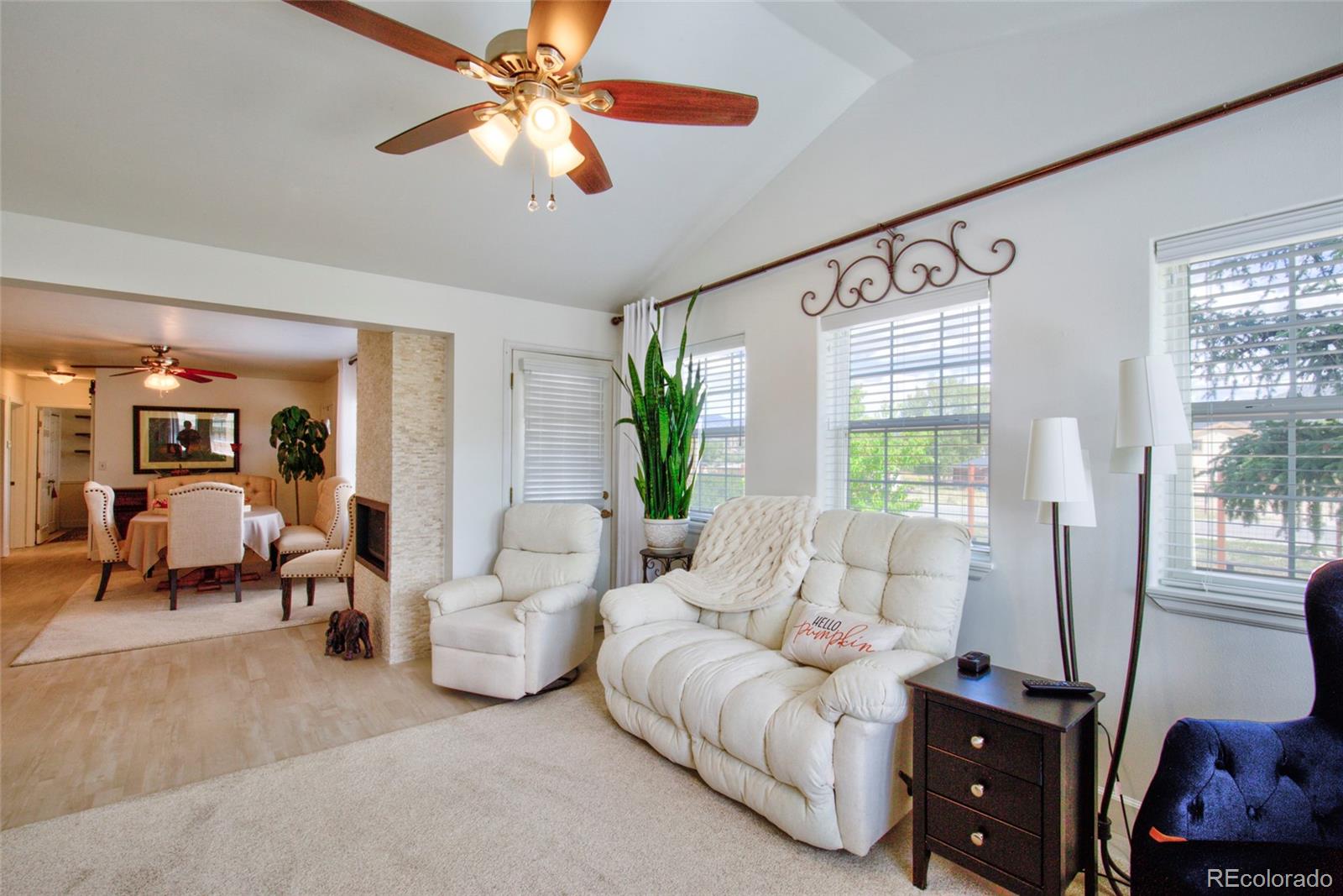 MLS Image #12 for 29845  county road 353 ,buena vista, Colorado