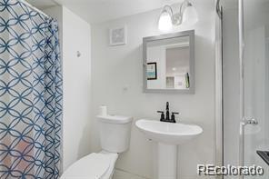 MLS Image #19 for 2443 s williams street,denver, Colorado