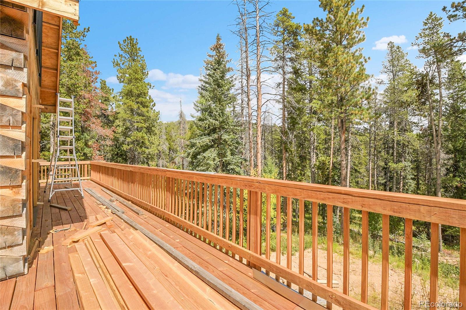 MLS Image #9 for 11156  wallace avenue,conifer, Colorado
