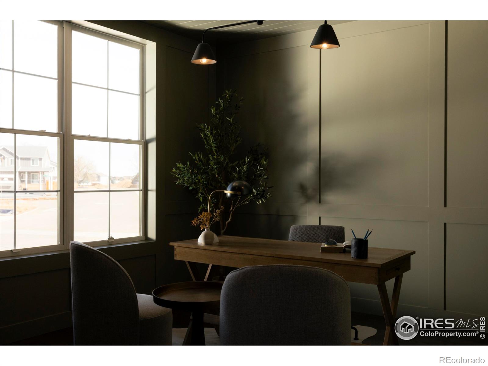MLS Image #17 for 271  cornelia drive,windsor, Colorado