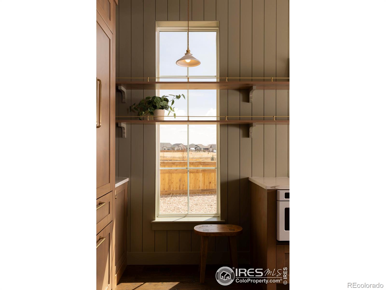 MLS Image #5 for 271  cornelia drive,windsor, Colorado