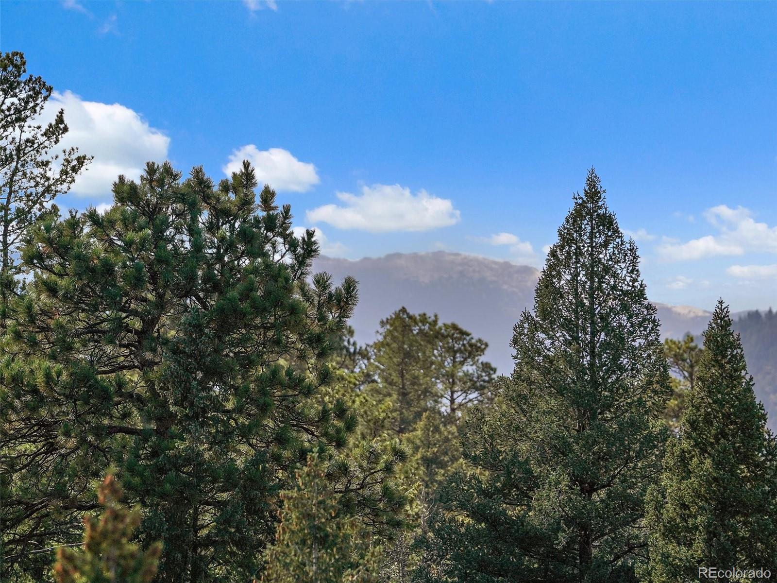 MLS Image #25 for 33884  bergen view trail ,evergreen, Colorado