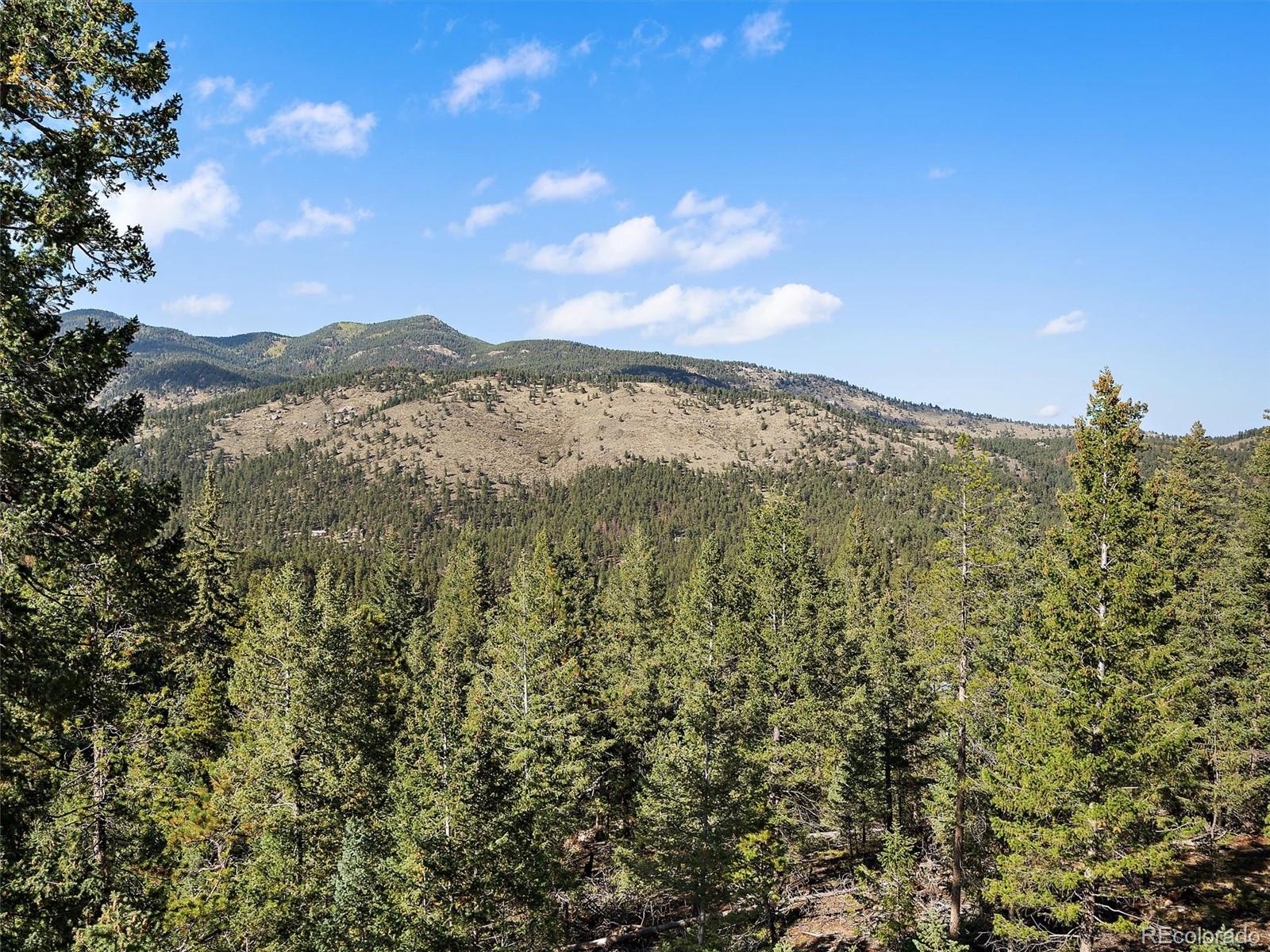 MLS Image #26 for 33884  bergen view trail ,evergreen, Colorado