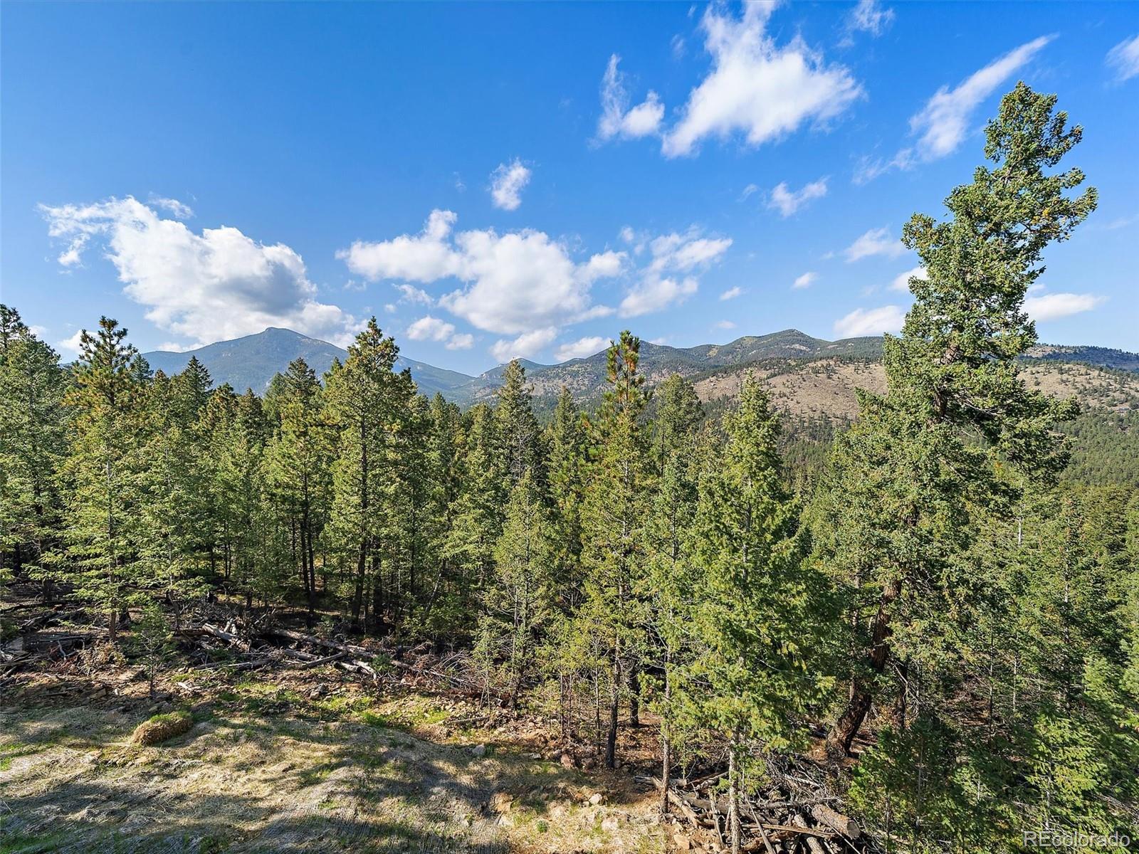 MLS Image #27 for 33884  bergen view trail ,evergreen, Colorado