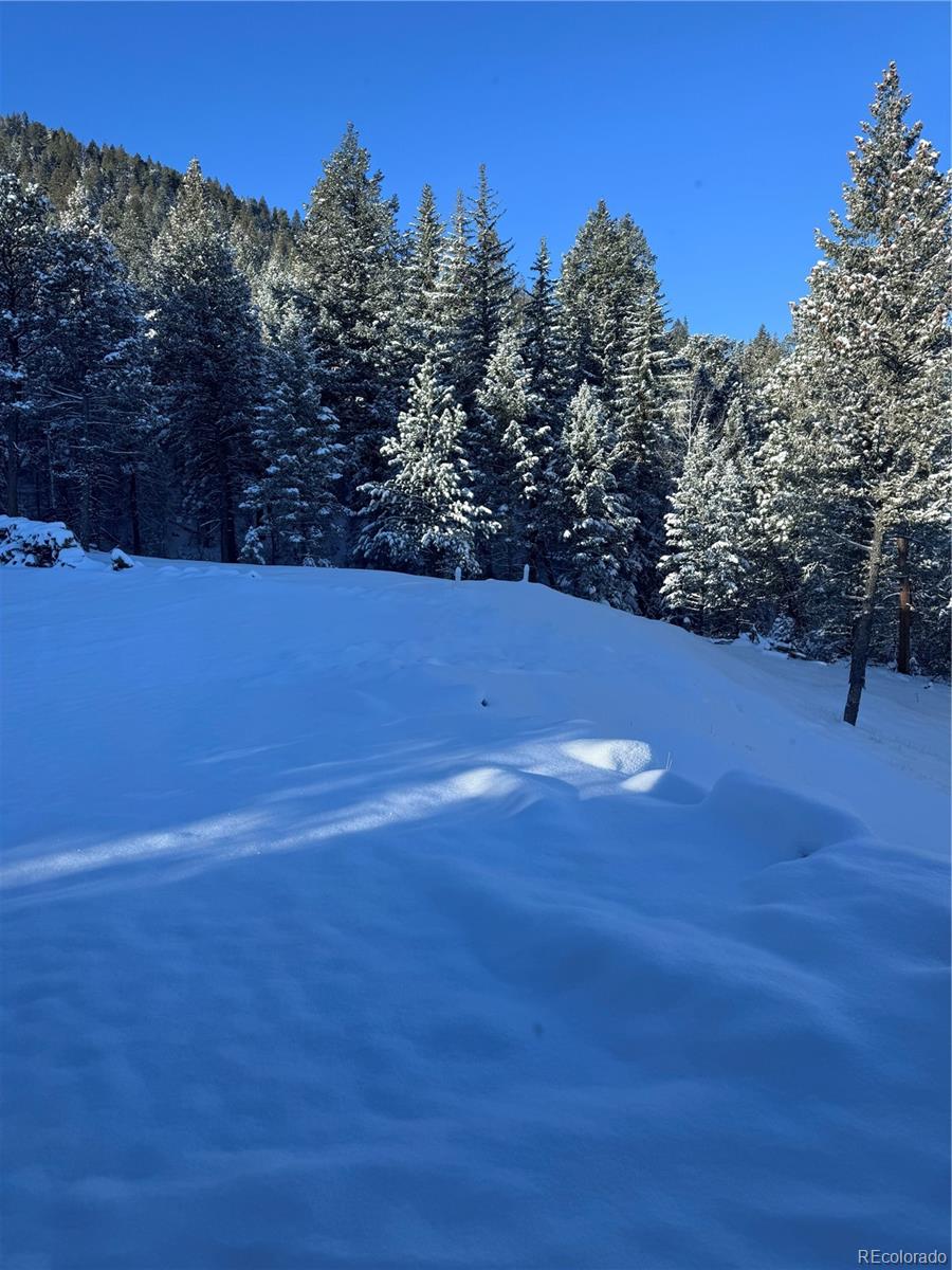 MLS Image #29 for 33884  bergen view trail ,evergreen, Colorado