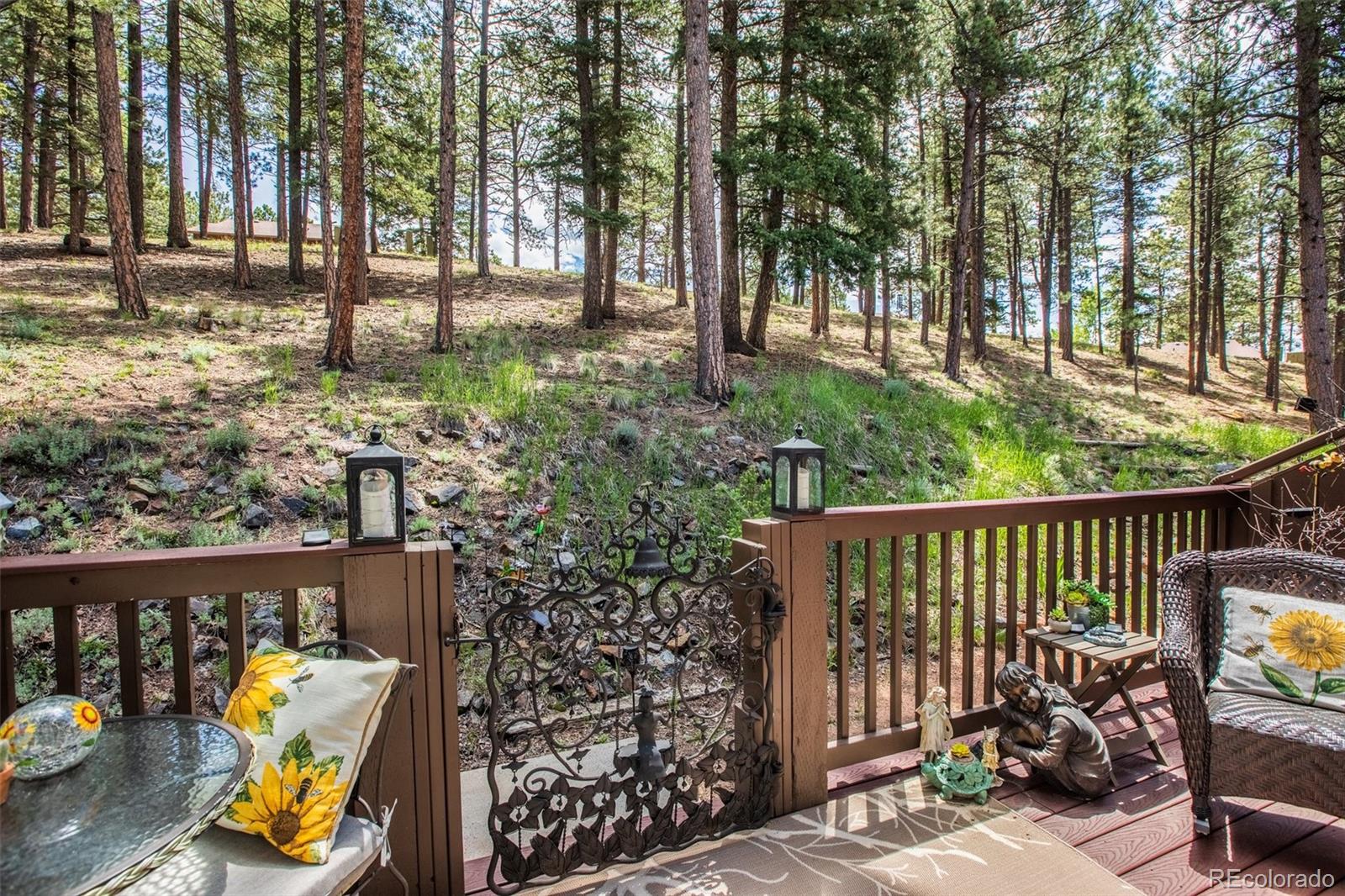 MLS Image #12 for 560  manor court,woodland park, Colorado