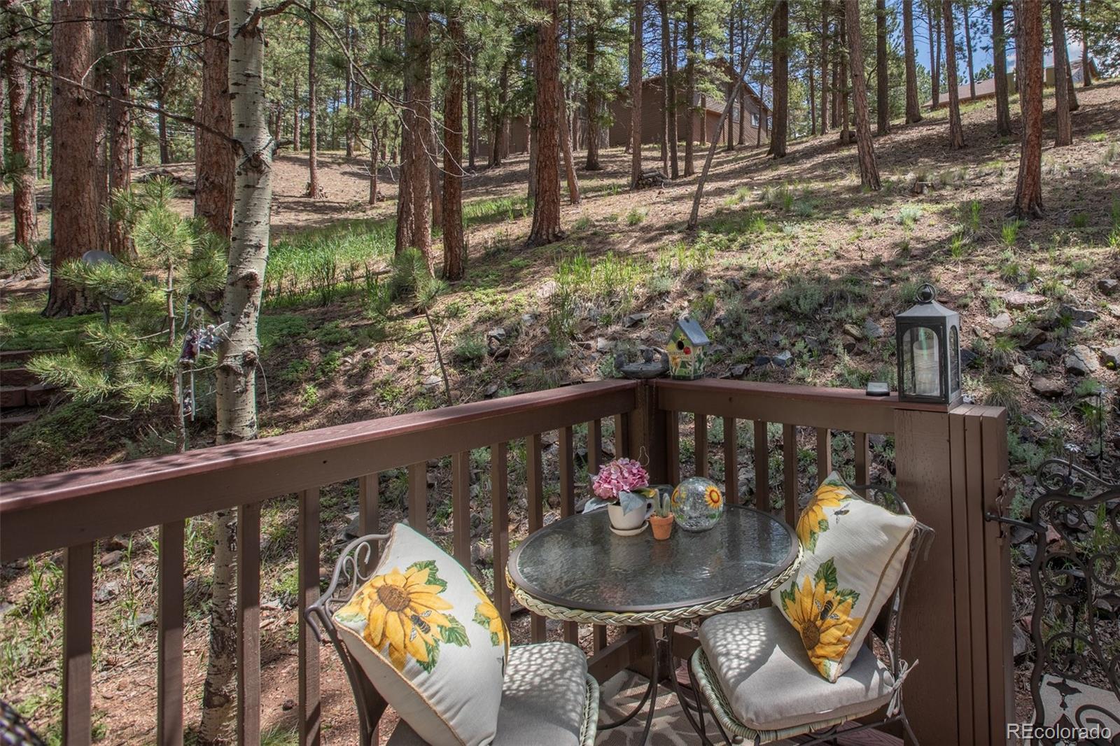 MLS Image #13 for 560  manor court,woodland park, Colorado