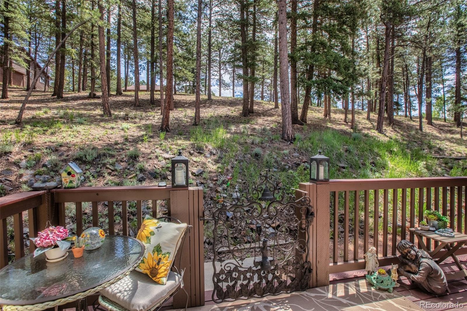 MLS Image #14 for 560  manor court,woodland park, Colorado